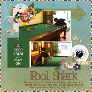 Pool Shark