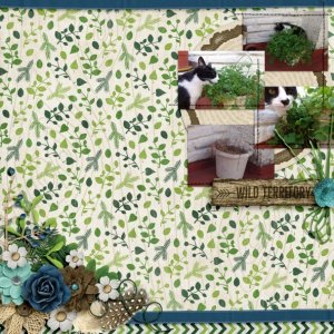 2018-2-Mix_it_Up_Challenge
