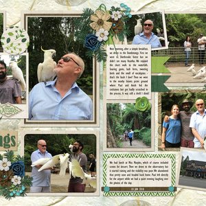 The Dandenongs