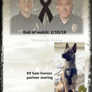 End of Watch