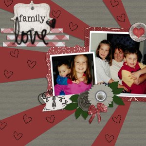 0218 Family Brush