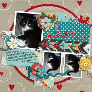 cap_3littlewordsbundle