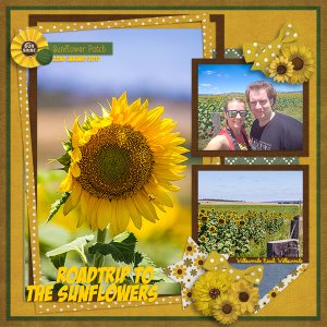 Roadtrip to the sunflowers