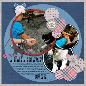 Hemmingway Cats