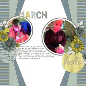 baby_chicks