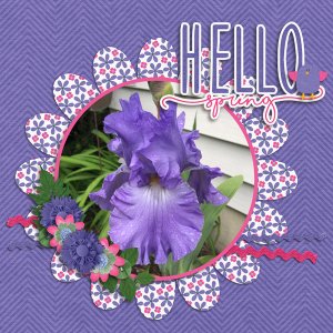 Hello Spring!