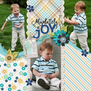 Absolutely a Joy