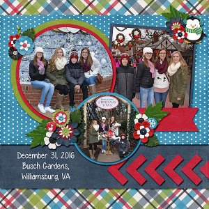 2016_dec_busch_gardens_web
