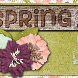 Spring is Here