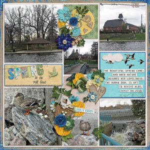 Spring at the Mill Pond