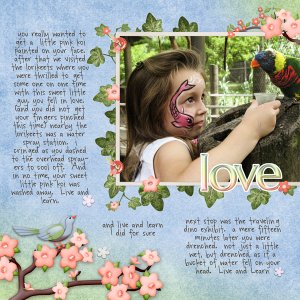 loving the lorikeets