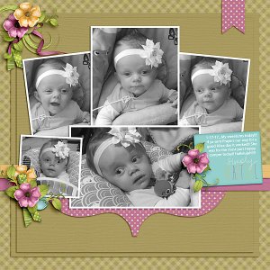 Miss Aliza Bee