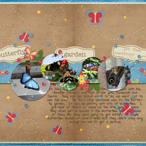 butterfly garden