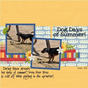 Dog Days of Summer