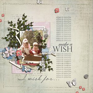 Make A Wish