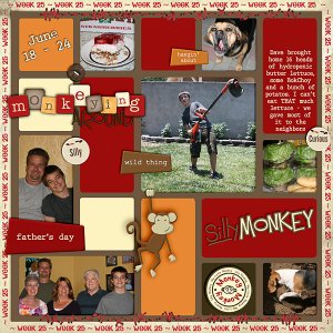 Lisa's Week Twenty Five