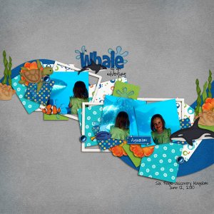 A Whale of an Adventure