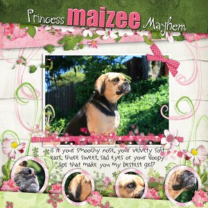 Princess Maizee Mayhem