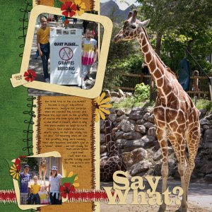 Zoo-2011-2WEB
