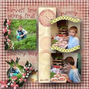 Fruit Picking