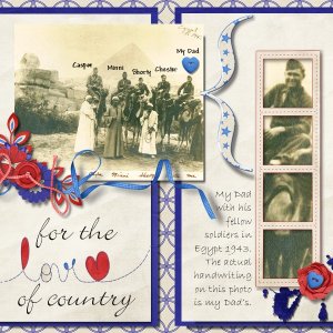 For The Love Of Country