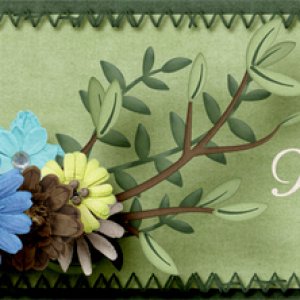 facebook_march