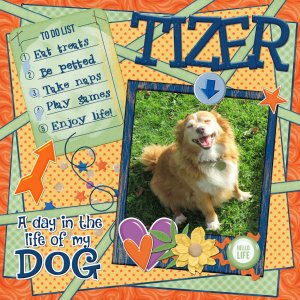 Tizer