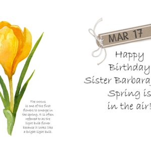 SisterBJ Birthday Card