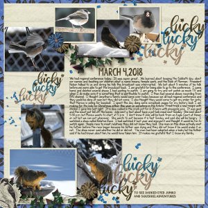 3-March_4_2018_small
