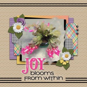Joy Within