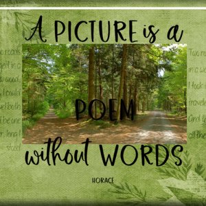 A Poem Without Words