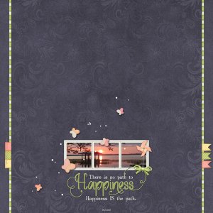 Happiness is the Journey