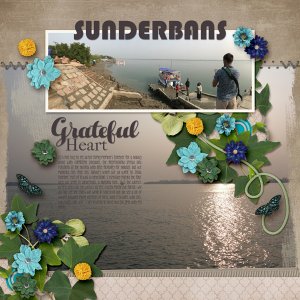 Sunderbans
