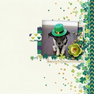 Happy St. Paddy