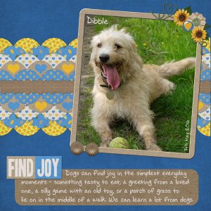 Find Joy