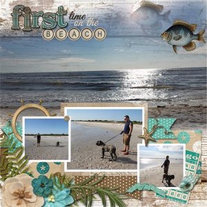 first_time_at_the_beach_right