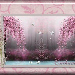 Enchanted