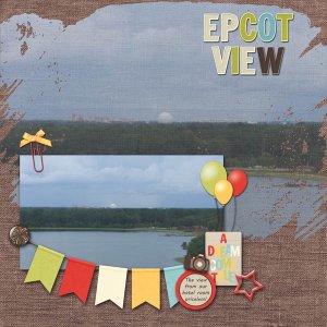 Epcot View