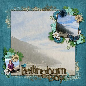 Bellingham Bay