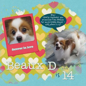 Beaux D is 14