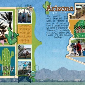 Misc AZ 2015
