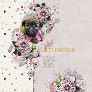Miss Maeve