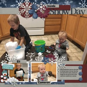 12_snow-in-the-house