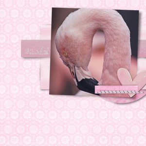 Pretty in Pink