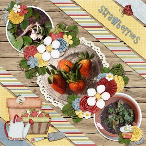 strawberries