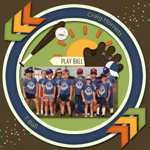 Hornets Tball