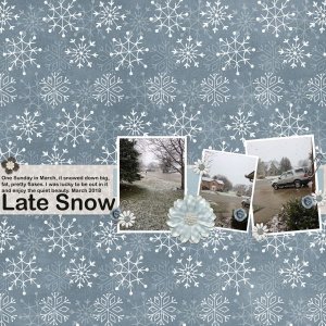 Late Snow