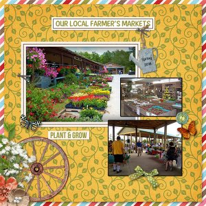 Farmers Markets