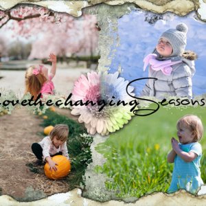 Changing Seasons