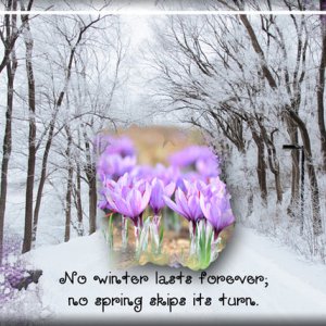 Winter-Spring